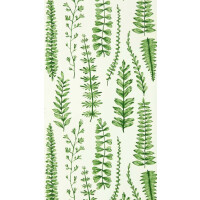 Tapeta liście paproci Scion 112798 Ferns Garden of Eden