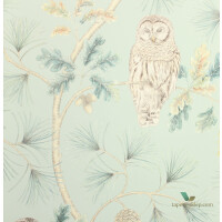 Tapeta sowy i drzewa Sanderson 216596 Owlswick Elysian