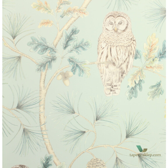 Tapeta sowy i drzewa Sanderson 216596 Owlswick Elysian