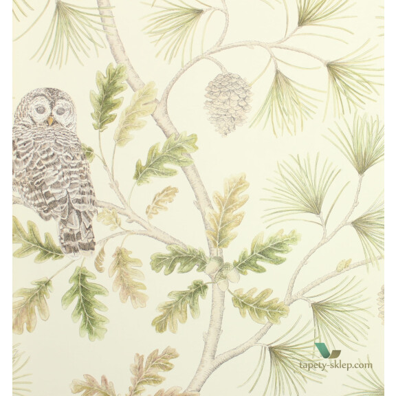 Tapeta sowy i drzewa Sanderson 216597 Owlswick Elysian