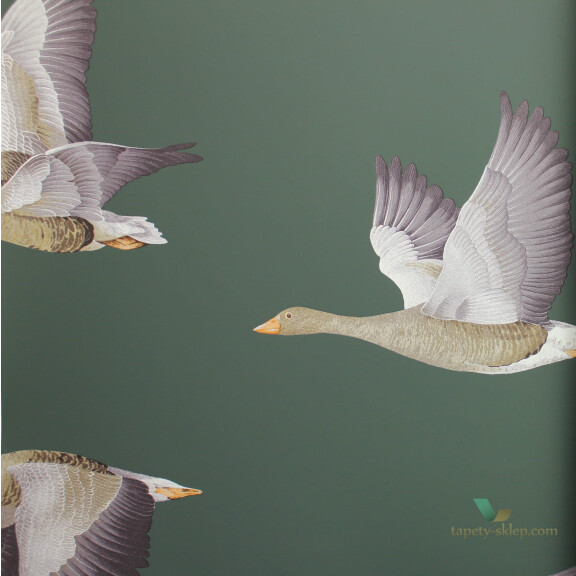 Tapeta ptaki Sanderson 216608 Geese Elysian