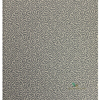 Tapeta Cole & Son 107/4017 Vermicelli Curio
