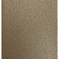 Tapeta Cole & Son 107/4020 Vermicelli Curio
