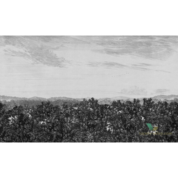 Fototapeta Sandberg 658-31 Oak View Graphite Lofstad