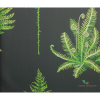 Tapeta liście paproci Sanderson 216634 Fernery The Glasshouse