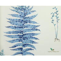 Tapeta liście paproci Sanderson 216635 Fernery The Glasshouse