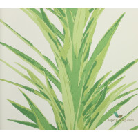 Tapeta liście juki Sanderson 216649 Yucca The Glasshouse