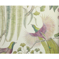 Tapeta ptaki i rośliny Sanderson 216654 Bird of Paradise The Glasshouse