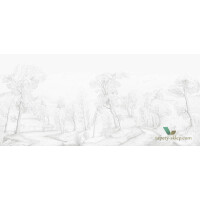 Tapeta Wall & Deco WET_IF1601 INNER FOREST WET SYSTEM 2016