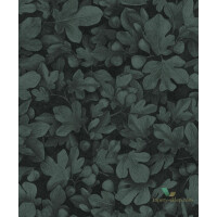 Tapeta liście Khroma KEN101 Ficus Kent