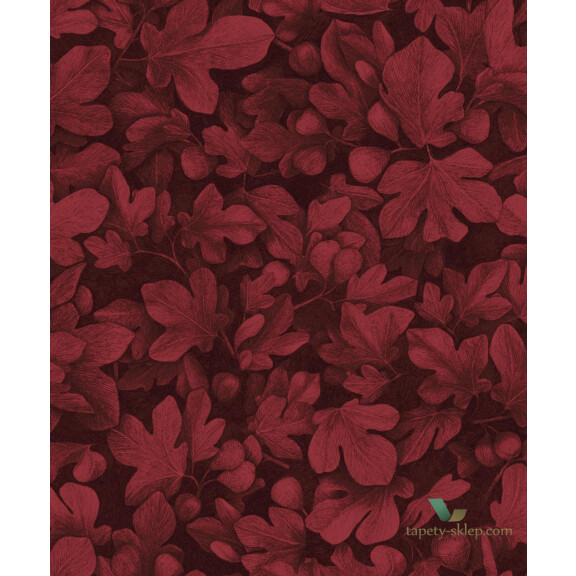 Tapeta liście Khroma KEN102 Ficus Kent