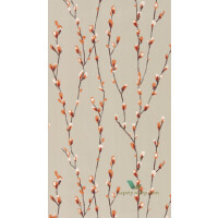 Tapeta Harlequin 111470 Standing Ovation Salice