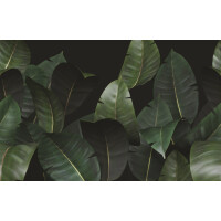 Tapeta Wall&Deco WDZA2102 Zamia Contemporary 2021