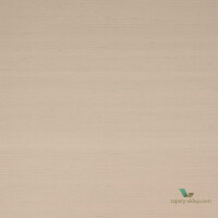 Tapeta Jane Churchill J8002-05 Atmosphere IV