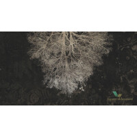 Tapeta Muance MU12031 Expansion Theory II Cobalt