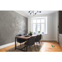Fototapeta R17073 Harmony Gray Rebel Walls