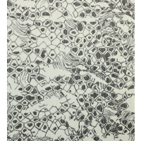 Tapeta skóra węża Roberto Cavalli RC19035 Home NO. 8 - szer. 106cm