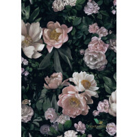 Mural w kwiaty Boras 7234 New Dawn Rose In Bloom