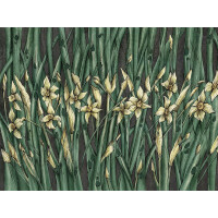 Fototapeta kwiaty polne narcyzy Wallcraft Narcise 445322102