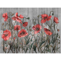 Fototapeta kwiaty maki Wallcraft Rosella 470322102