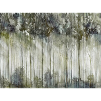 Fototapeta drzewa Wallcraft Scoven 475322102
