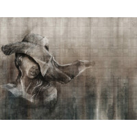 Fototapeta kobieca twarz Wallcraft Virgo 325332101