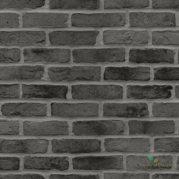 Tapeta Esta 139138 Black and White