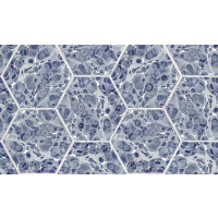 Tapeta heksagony marmur Rebel Walls R18557 Marbled Hexagon Tiles Dark Blue Pops