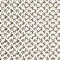 Tapeta owady Rebel Walls R18568 Small Jewel Wings Diamond White Pops