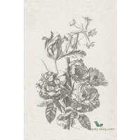 Mural Esta 158887 Blush