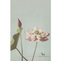 Mural Esta 158890 Blush
