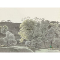 Mural Esta 158892 Blush