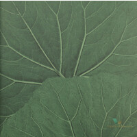 Tapeta Esta 138996 Jungle Fever