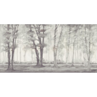 Tapeta leśny krajobraz Inkiostro Bianco ONCE UPON A TIME INKATSC2202 Light And Shadows