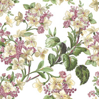 Tapeta Coordonne 8800040 Flowery Metamorphosis