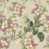 Tapeta Coordonne 8800041 Flowery Metamorphosis