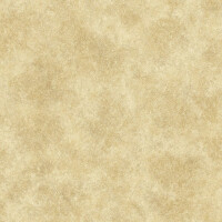 Tapeta jak beton Galerie G67693 Special FX