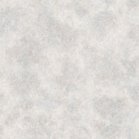 Tapeta jak beton Galerie G67695 Special FX