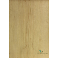 Tapeta Fornir Elitis RM42701 Essences de Bois