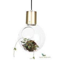 Lampa wisząca/Lampa stołowa Mini Hole Clear / Brushed Brass 641055 Globen