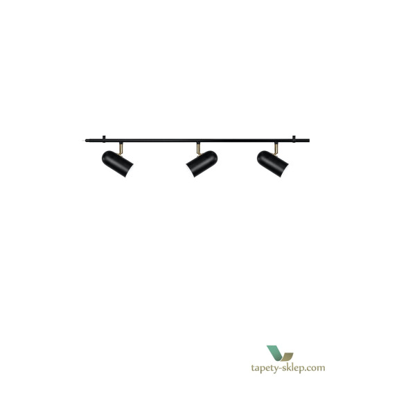 Lampa sufitowa Swan 3 Black 961411 Globen