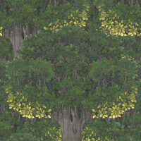 Tapeta Mind the Gap WP20466 Savage Leaves