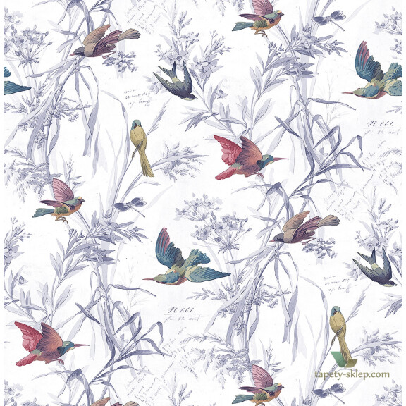 Tapeta KT Exclusive FJ40911 Birds of Paradise Sanctuary