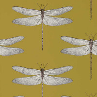 Tapeta ważki Harlequin 111244 Demoiselle Colour II
