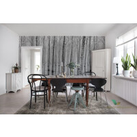 Fototapeta Rebel Walls R16061 Birch Echo