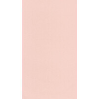 Tapeta lniane płótno Caselio LNE 103224076 Uni Mat Linen Edition