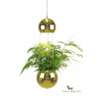 Lampa wisząca Mini Planter Brass 241163 Globen