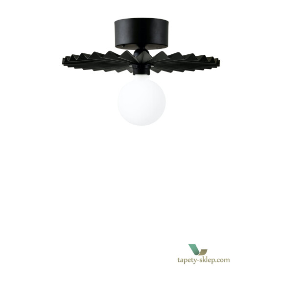 Lampa sufitowa/Kinkiet Omega 35 Black 261011 Globen