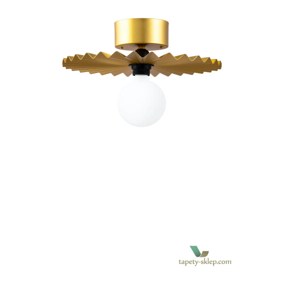 Lampa sufitowa/Kinkiet Omega 35 Brushed Brass 261065 Globen