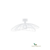 Lampa sufitowa/Kinkiet Ray White 268008 Globen